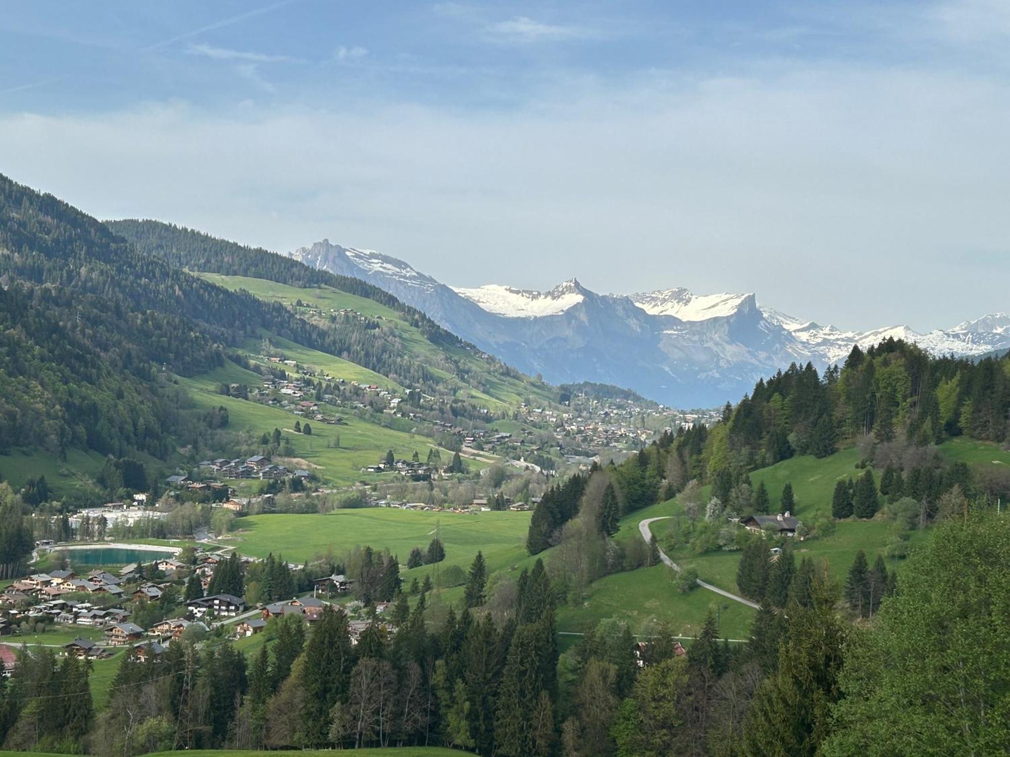 Chalet Saint Victor, Praz Sur Arly المظهر الخارجي الصورة